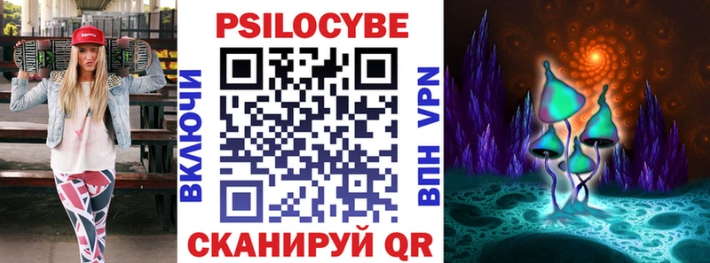 Купить закладки  Малгобек  Псилоцибиновые грибы GOLDEN TEACHER 