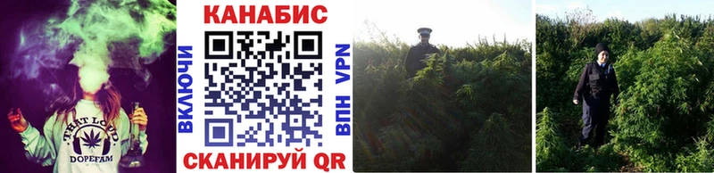 Купить закладки  Малгобек  Канабис THC 21% 